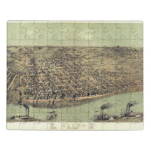 Carte Vintage antique Illinois USA 1867