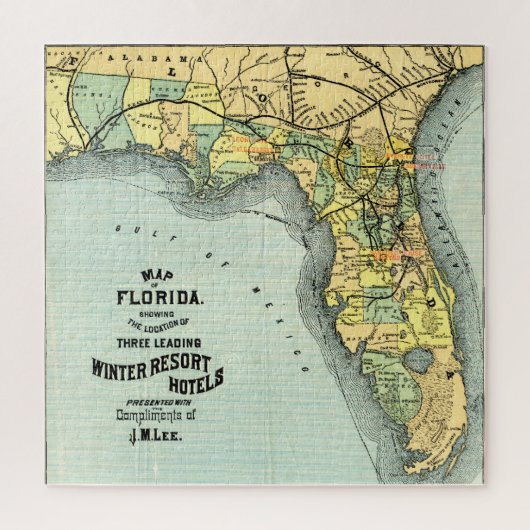 Puzzle Carte vintage des stations balnéaires de Floride (Vertical)