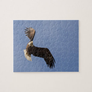 Puzzle Carving The Sky