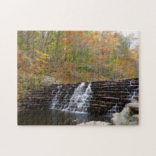 Puzzle Cascade à Laurel Hill State Park I (Horizontal)