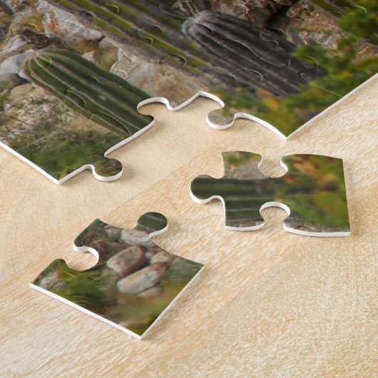 Puzzle Cascade de Sol de Mayo | Santiago, Mexique (Côté)