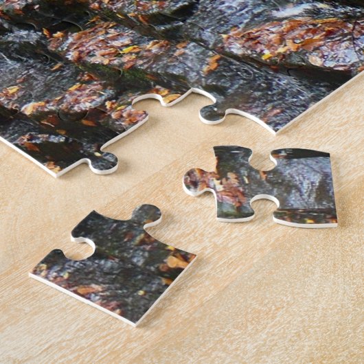 Puzzle Cascade du parc d'état Laurel Hill State Park II (Côté)