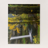 Puzzle Cascade en automne au parc d'état de Silver Falls (Vertical)