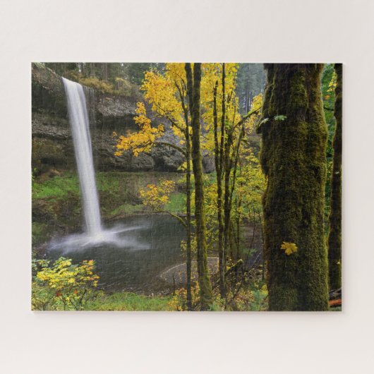 Puzzle Cascade en automne au parc d'état de Silver Falls (Horizontal)