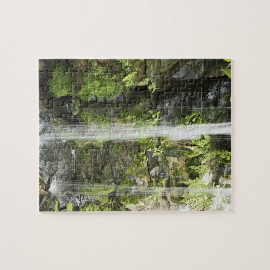 Puzzle Cascade, forêt tropicale tempérée, Nouvelle (Horizontal)