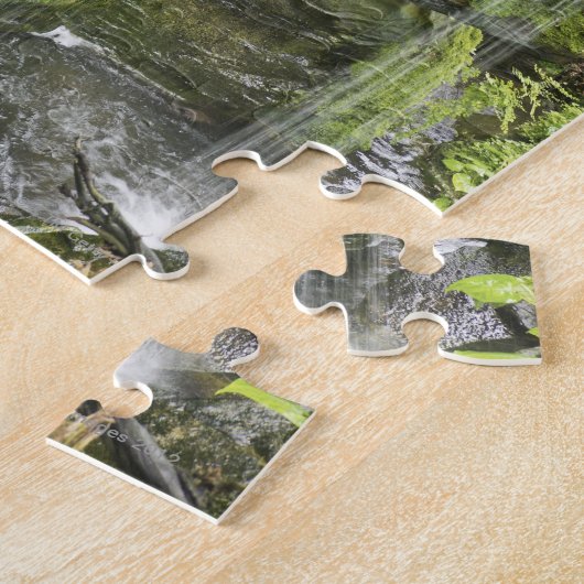 Puzzle Cascade, forêt tropicale tempérée, Nouvelle (Côté)