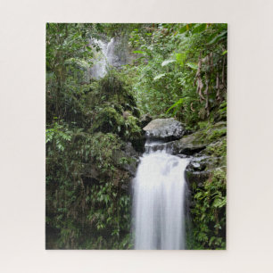 Puzzle Cascades de Juan Diego
