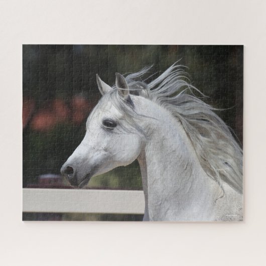 Puzzle Casque de Stallion arabe gris Mane Flower (Horizontal)