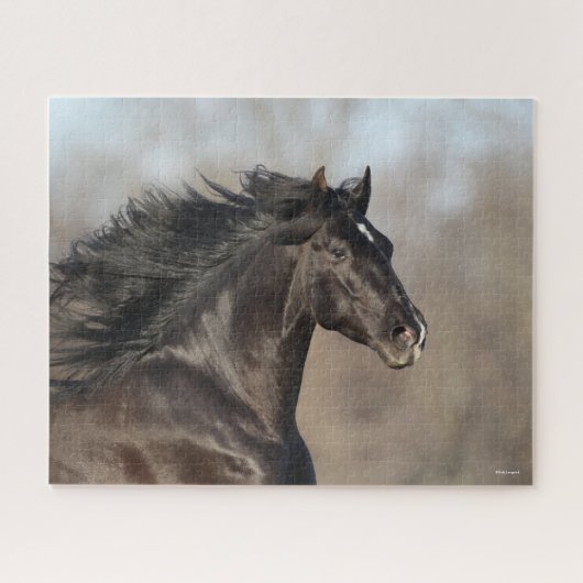 Puzzle Casque noir andalou Flow Mane (Horizontal)