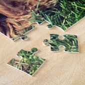 Puzzle Casse-tête 11x14 de Goldendoodle mignon (Côté)