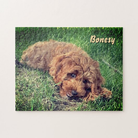 Puzzle Casse-tête 11x14 de Goldendoodle mignon (Horizontal)