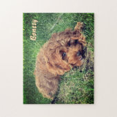 Puzzle Casse-tête 11x14 de Goldendoodle mignon (Vertical)