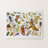 Puzzle Casse-tête | Crawlies déplaisant d'insectes (Horizontal)