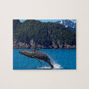 Puzzle Casse-tête de baleine à bosse Alaska