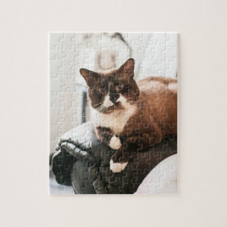 Puzzle Casse-tête de chat