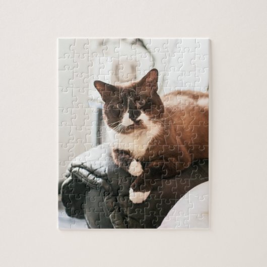 Puzzle Casse-tête de chat (Vertical)