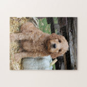 Puzzle Casse-tête de chiot de Goldendoodle (Horizontal)
