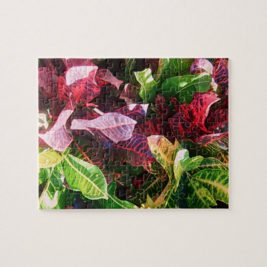 Puzzle Casse-tête de *Croton* (Horizontal)