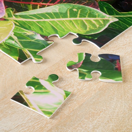 Puzzle Casse-tête de *Croton* (Côté)