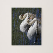 Puzzle Casse-tête de cygne (Vertical)