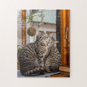 Puzzle Casse-tête de deux chats ensemble