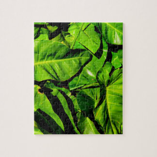Puzzle Casse-tête de feuillage vert 8x10 110 pcs