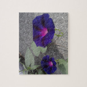 Puzzle Casse-tête de fleurs de Gloire du matin