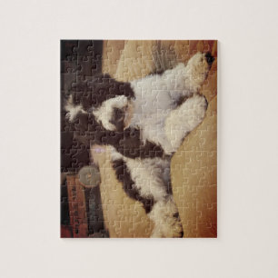 Puzzle Casse-tête de Goldendoodle