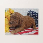 Puzzle Casse-tête de Goldendoodle (Horizontal)