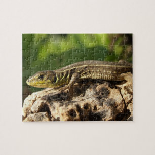 Puzzle Casse-tête de lézard
