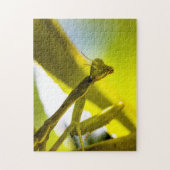 Puzzle Casse-tête de mante de prière (Vertical)