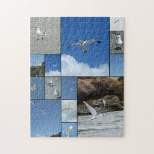 Puzzle Casse-tête de mouettes solitaires
