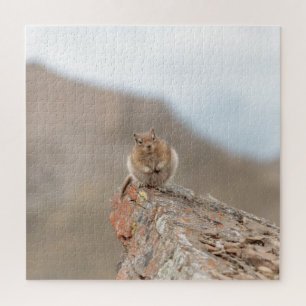 Puzzle Casse-tête de petit écureuil mignon