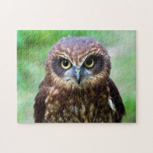 Puzzle Casse-tête de petit hibou