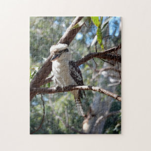 Puzzle Casse-tête de photo de Kookaburra