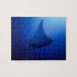 Puzzle Casse-tête de rayon de Manta
