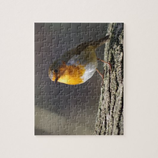 Puzzle Casse-tête de Robin (Vertical)