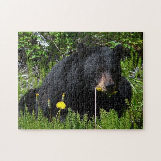 Puzzle Casse-tête d'ours noir (Horizontal)