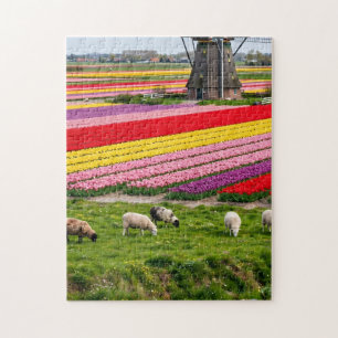 Puzzle Casse-tête du moulin à vent aux tulipes