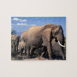 Puzzle Casse-tête Éléphants