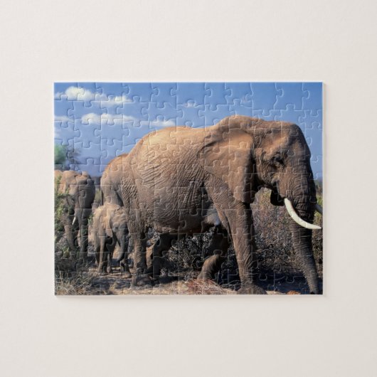 Puzzle Casse-tête Éléphants (Horizontal)