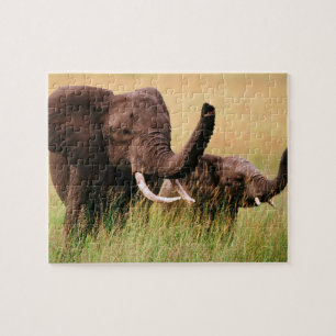Puzzle Casse-tête Éléphants