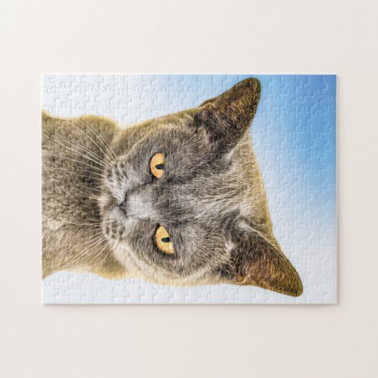 PUZZLE CASSE-TÊTE EN FORME DE CHATON MIGNON GROGNON (Horizontal)