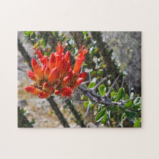 Puzzle Casse-tête Épines & Fleurs de Feu, 11" x 14", 252 