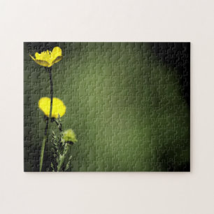 Puzzle Casse-tête Fleurs Jaunes