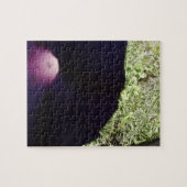 Puzzle Casse-tête florale (Horizontal)