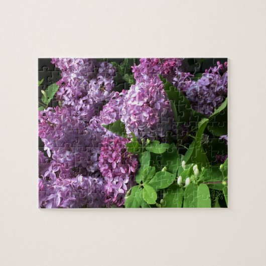 Puzzle Casse-tête :  LILAS (Horizontal)