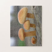 Puzzle Casse-tête Macro Champignons Minuscules (Vertical)