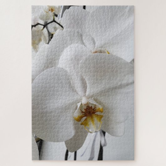 Puzzle Casse-tête Orchidée Blanche (Vertical)
