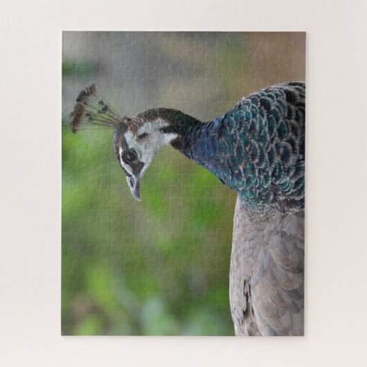 Puzzle casse-tête paon (Vertical)